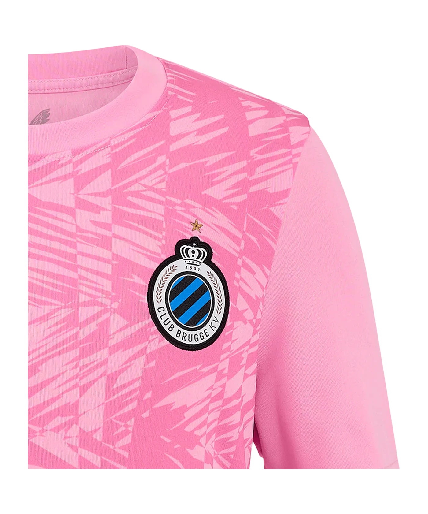 Castore FC Brügge Torwarttrikot Home 2024/2025 Kids Pink F160