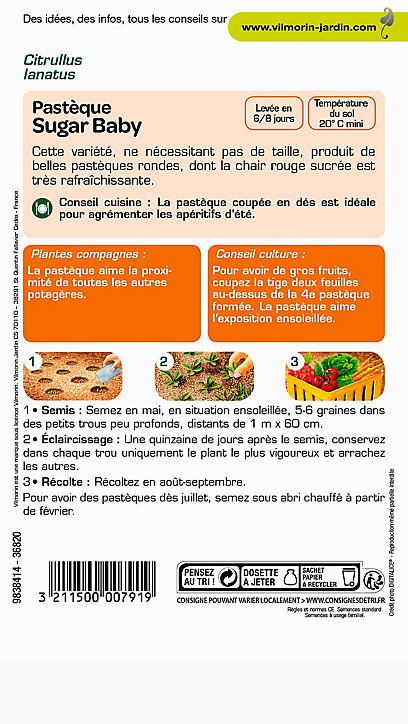 Graines de Pastèque Sugar Baby Vilmorin