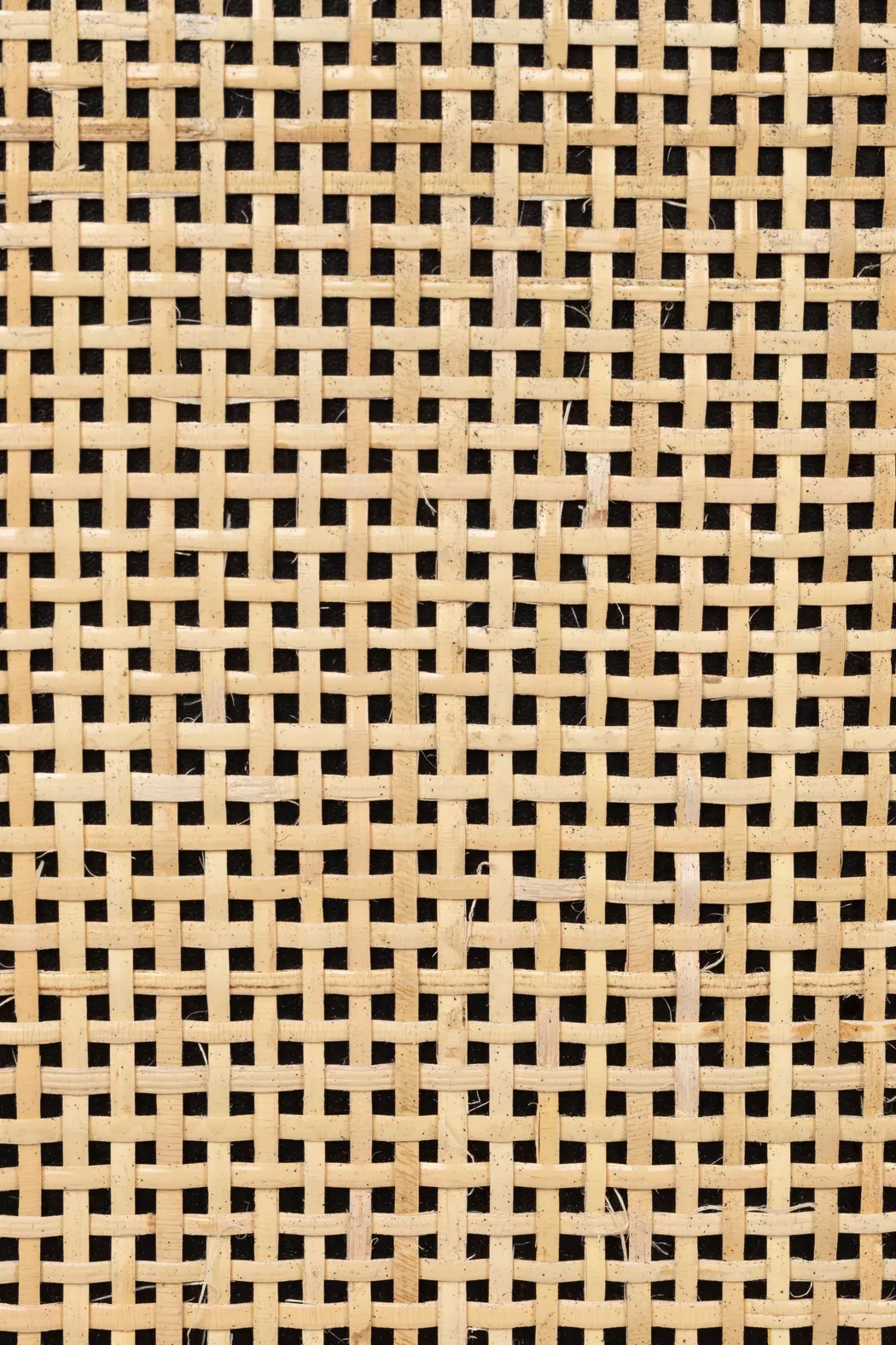 Schrank Guuji
