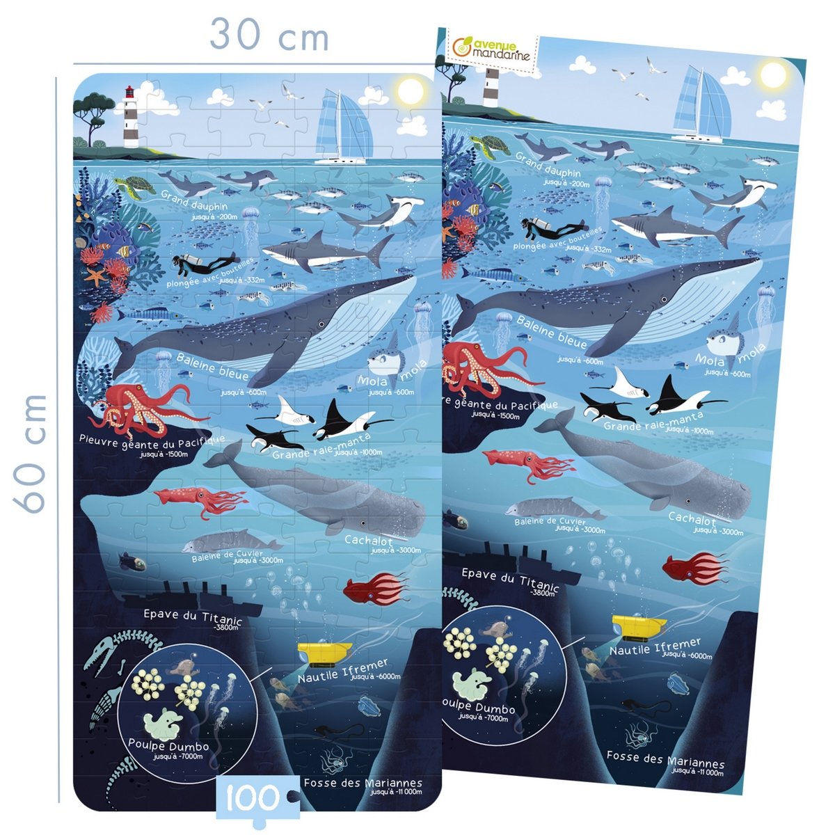 Puzzle éducatif 100 pièces monde sous-marin