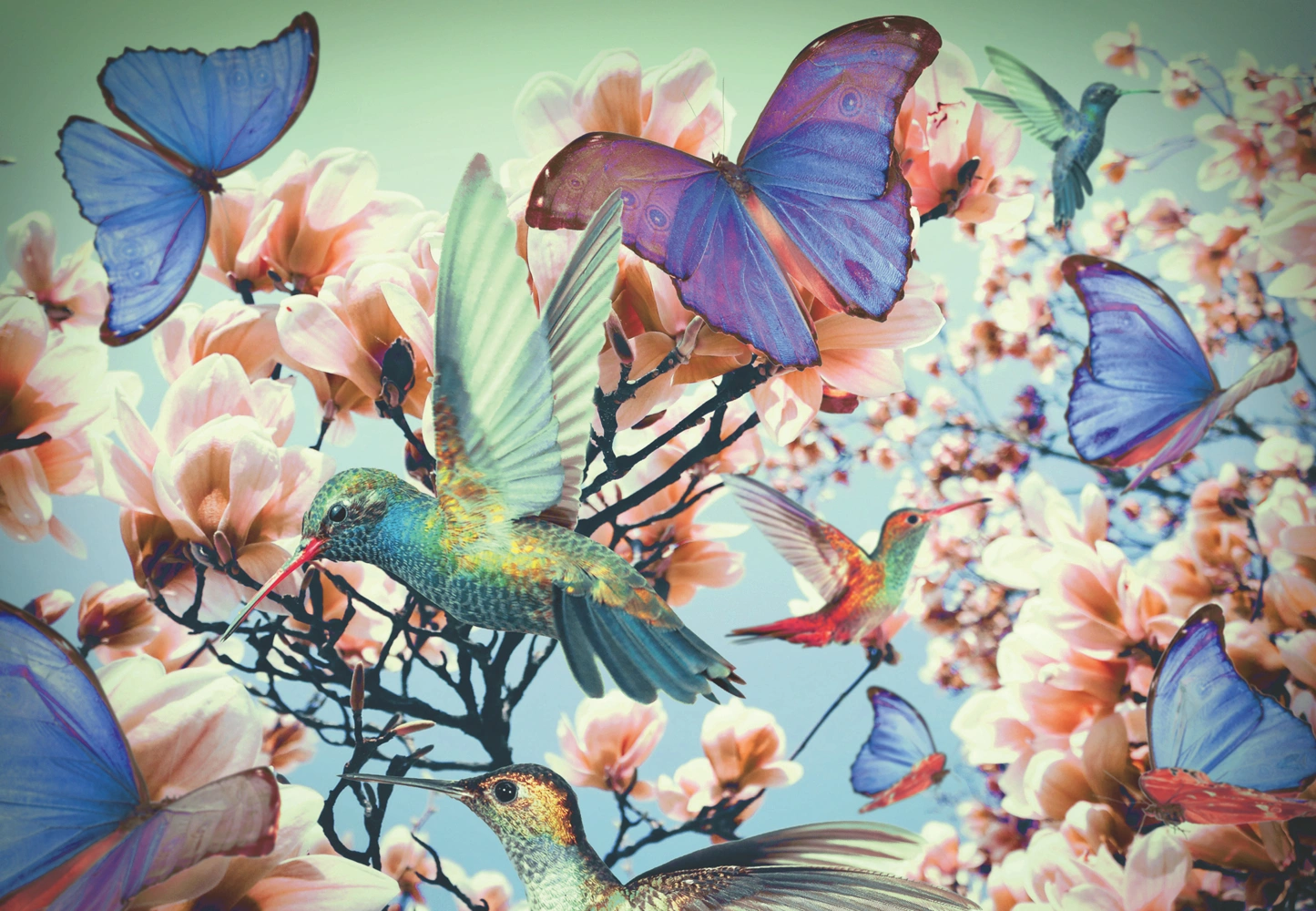 Ravensburger Puzzle Moment 12969 Hummingbird - 300 Teile Puzzle für Erwachsene u