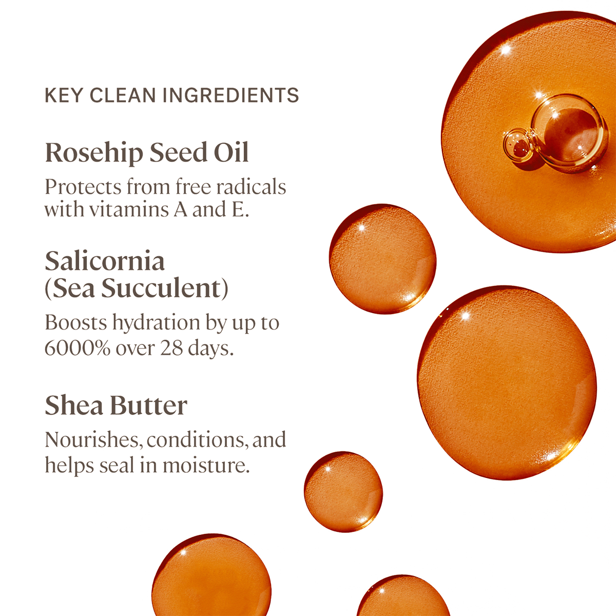 Balmy Tint Hydrating Lip Balm Wanderlust