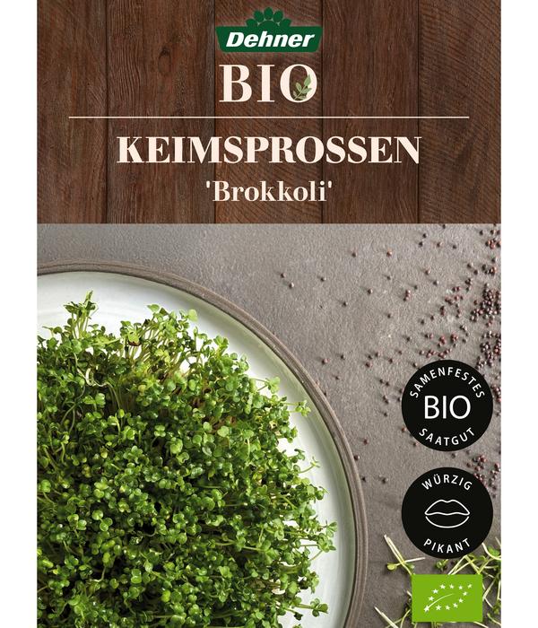 Dehner Bio-Keimsprossen 'Brokkoli'