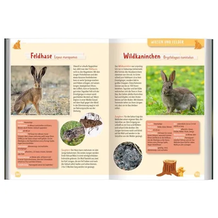 moses. Expedition Natur Mein großer Naturführer Tiere & Pflanzen
