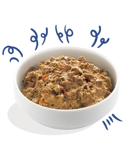 Edgard&Cooper Kuipje Salmon Turkey Adult - Hondenvoer - Zalm Kalkoen 150 g