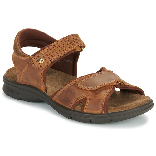 Panama Jack - SANDERS BASICS C4 - Cuir