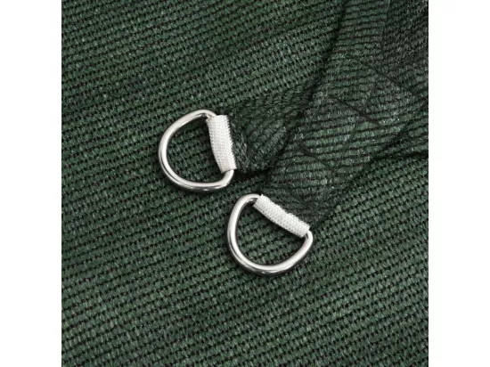 Voile d'ombrage 160 g/m² Vert foncé 2x3 m PEHD