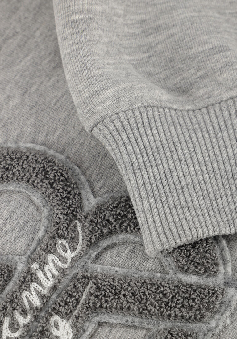 grijze anine bing truien/vesten jaci hoodie letterman