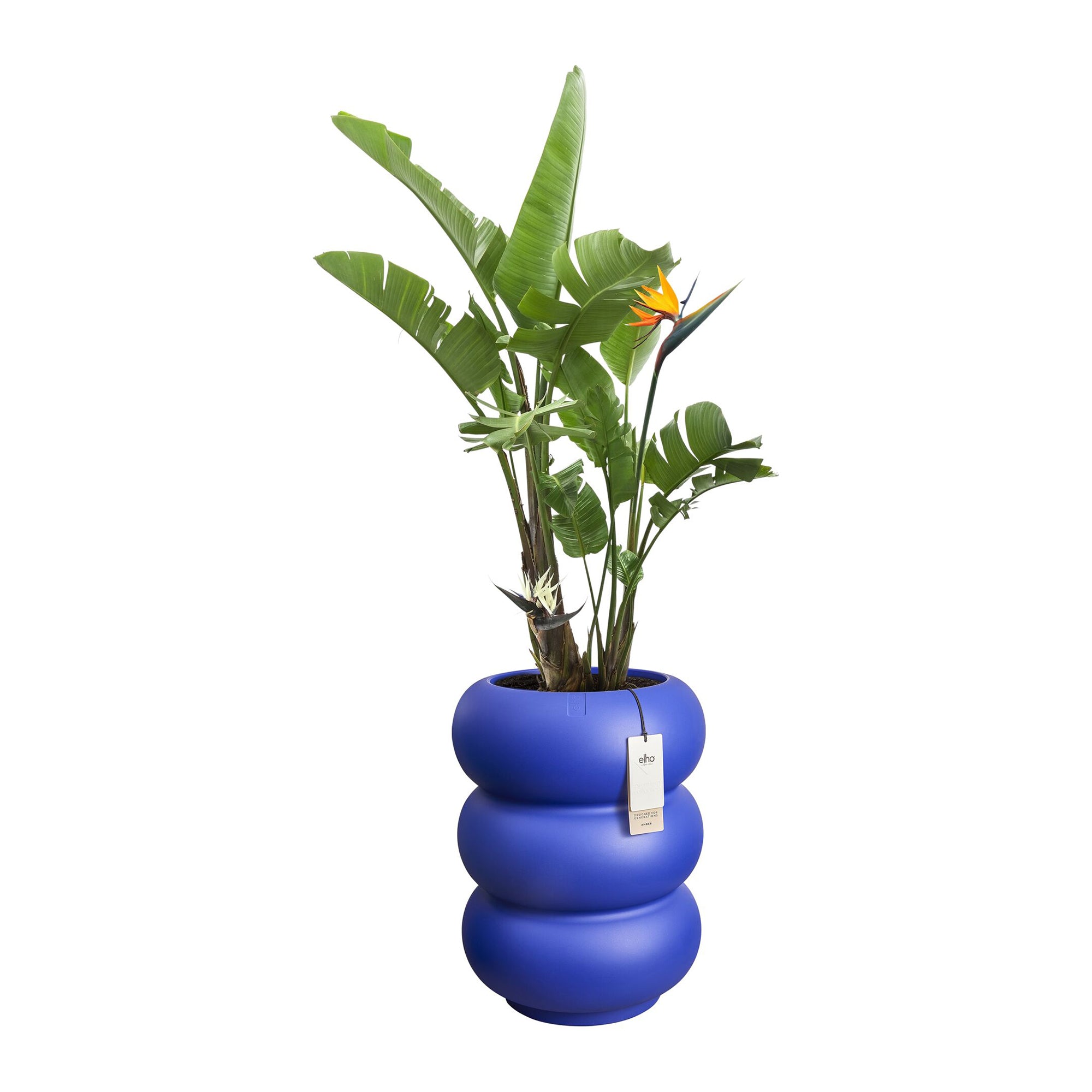 Elho Amber Roll High 43 - Royal blue - Ã 43 x H 58 cm - Binnen en Buiten - 100% gerecycled kunststof