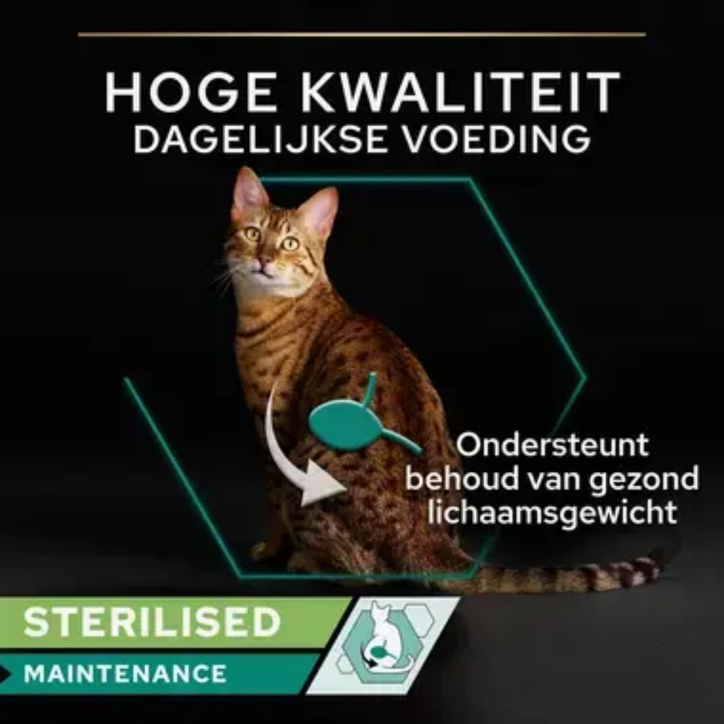 Purina Pro Plan Sterilised Adult Zalm en Tonijn Kat 24 x 85 gram | 15833