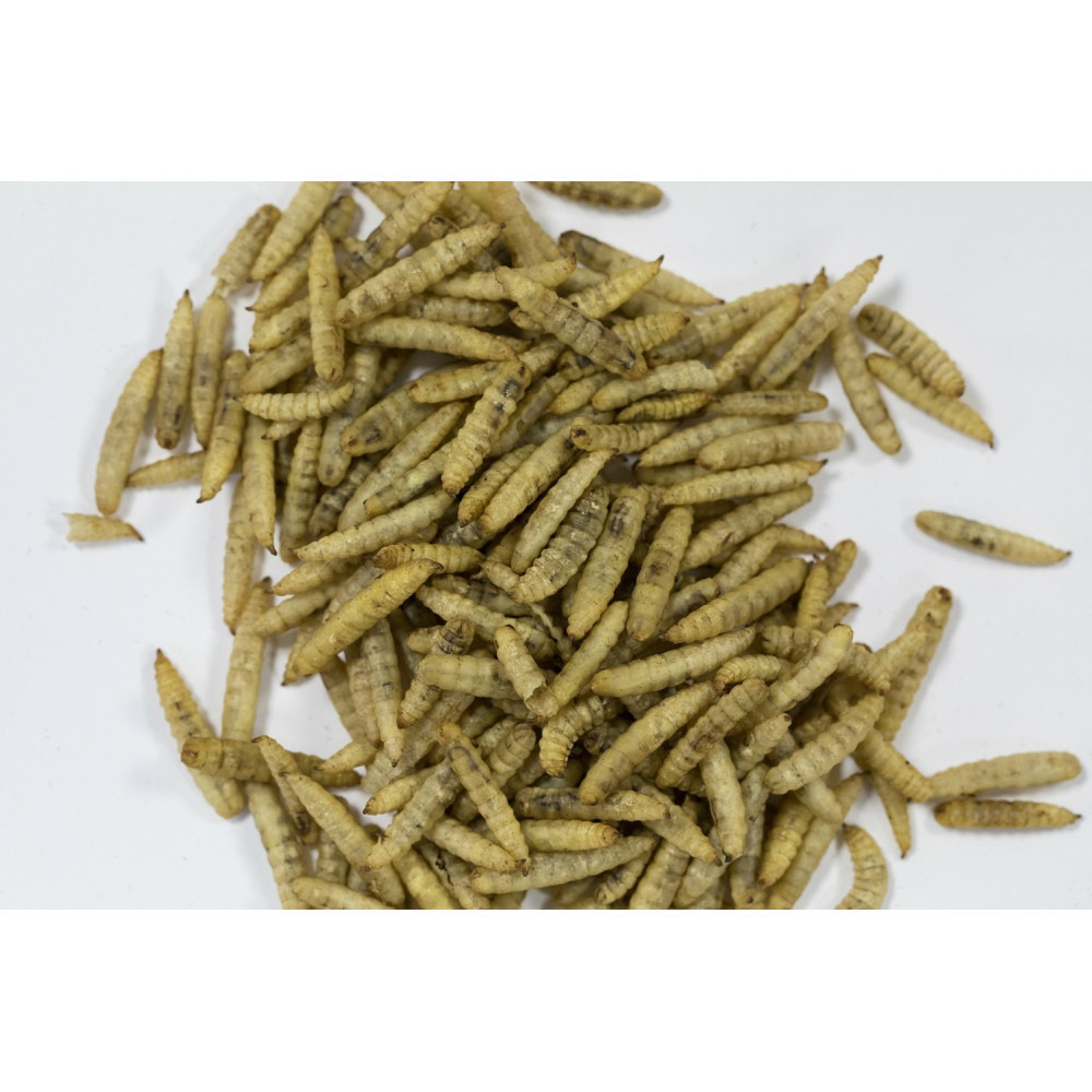 Insectes séchés 250 g pour oiseaux