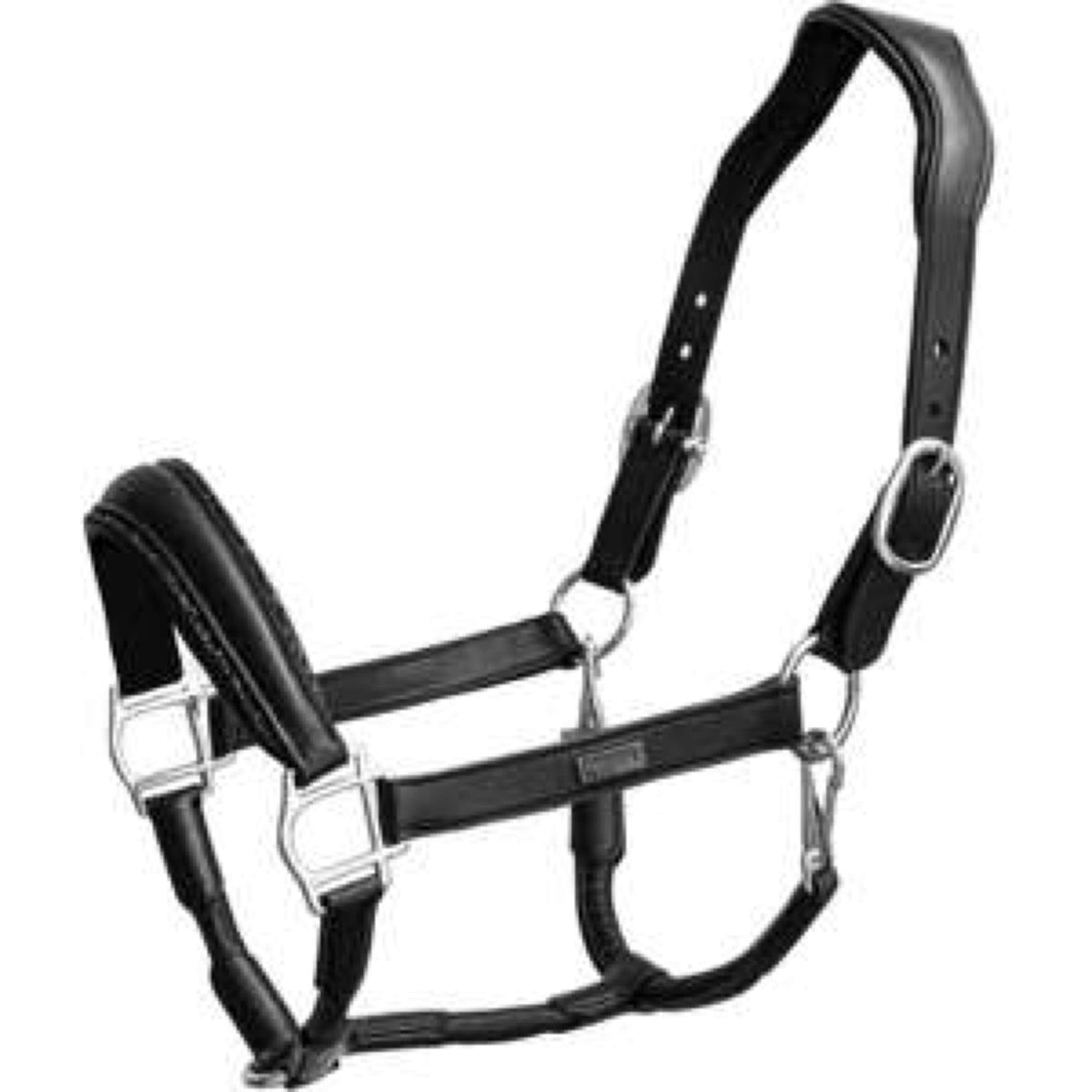 Equestrian Stockholm Halster Glimmer Anatomic Leather Zwart