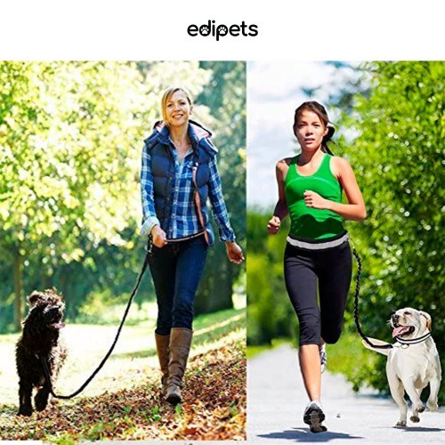 Guia Edipets Canicross com suporte para garrafa, preta, para cães.