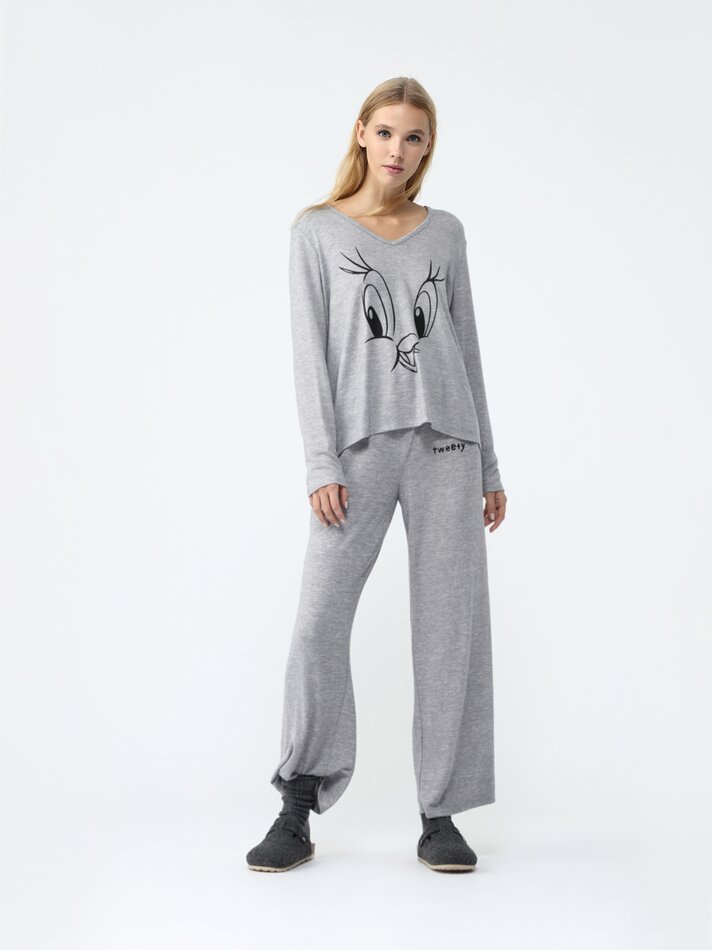 Pijama estampado Looney Tunes © &™ Warner Bros - Cinza