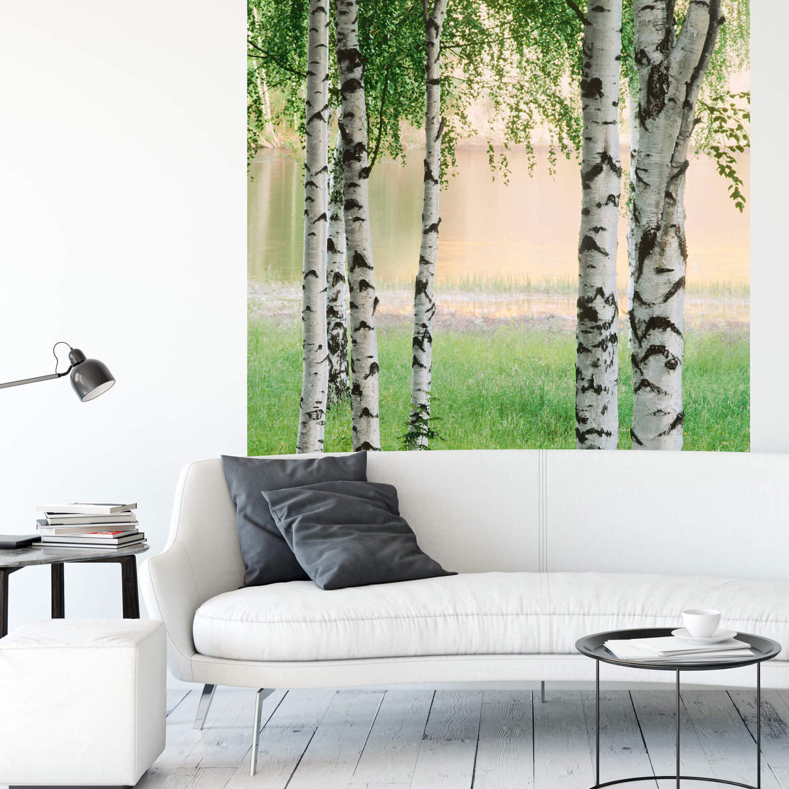 Fototapete DESIGNWALLS 2.0 - grün-weiß - Birkenwald - 2,6 Meter