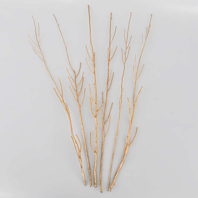 6 branches japonaises