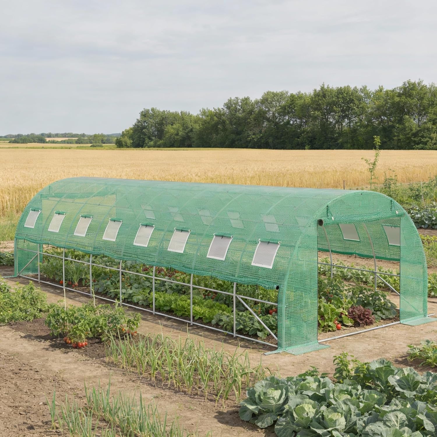 Gewächshaus 3x8 m (24 m²) – Garten Foliengewächshaus mit 16 Fenstern, UV-beständig, verzinkter Stahlrahmen, Moskitonetz, ideal für Gemüse, Tomaten, Blumen, Tomatenhaus, grün