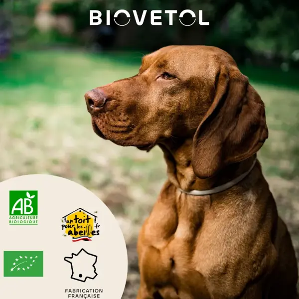Biovetol - Alimento para o Bem-Estar - Alt'vers em Pó Orgânico para Cães de Grande Porte (>20kg) - 70g
