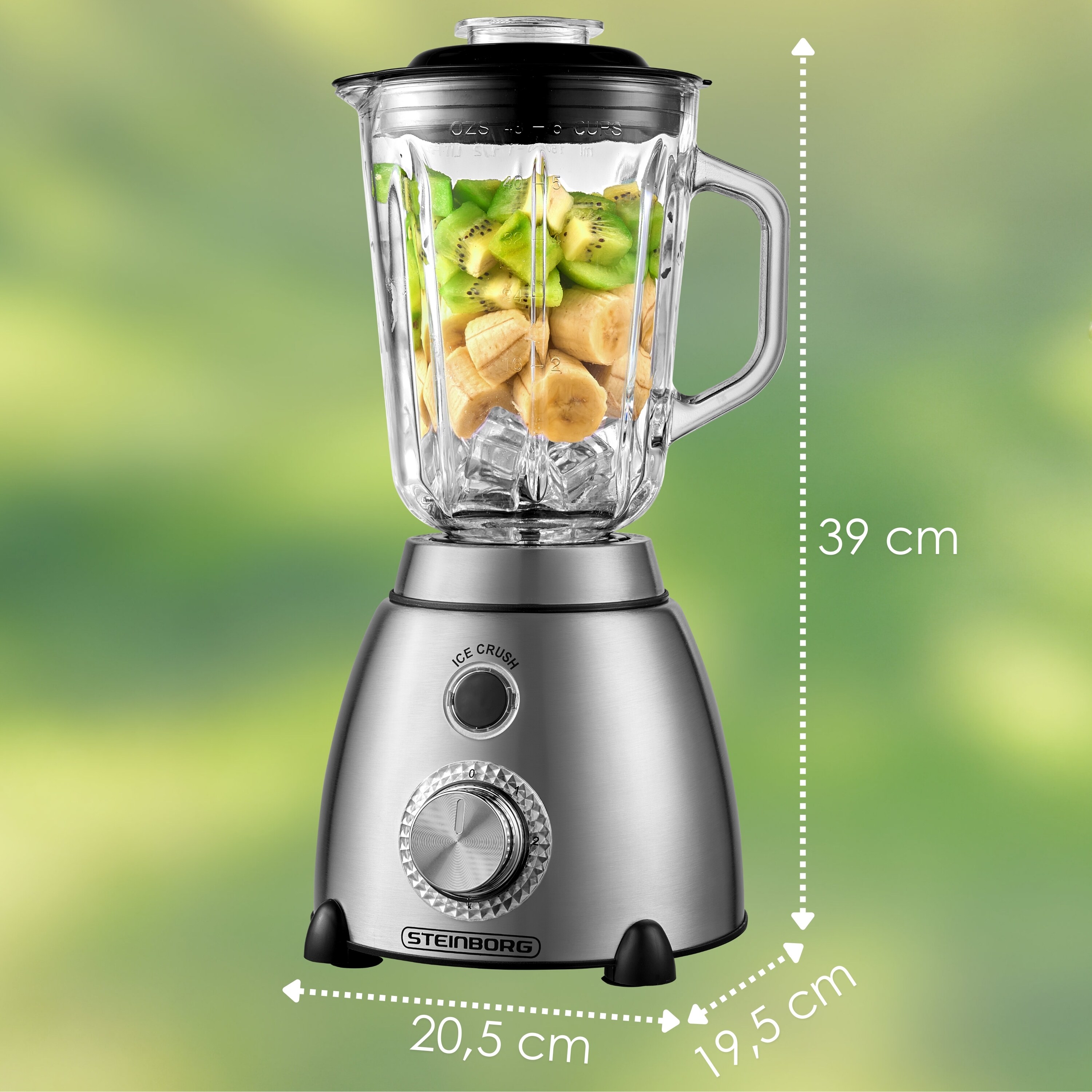 Steinborg Edelstahl Glas Standmixer 1.5L Glaskrug 2 Stufen+Puls 600W