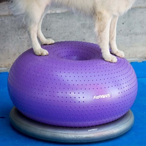 Arco de treinamento para cães cinza