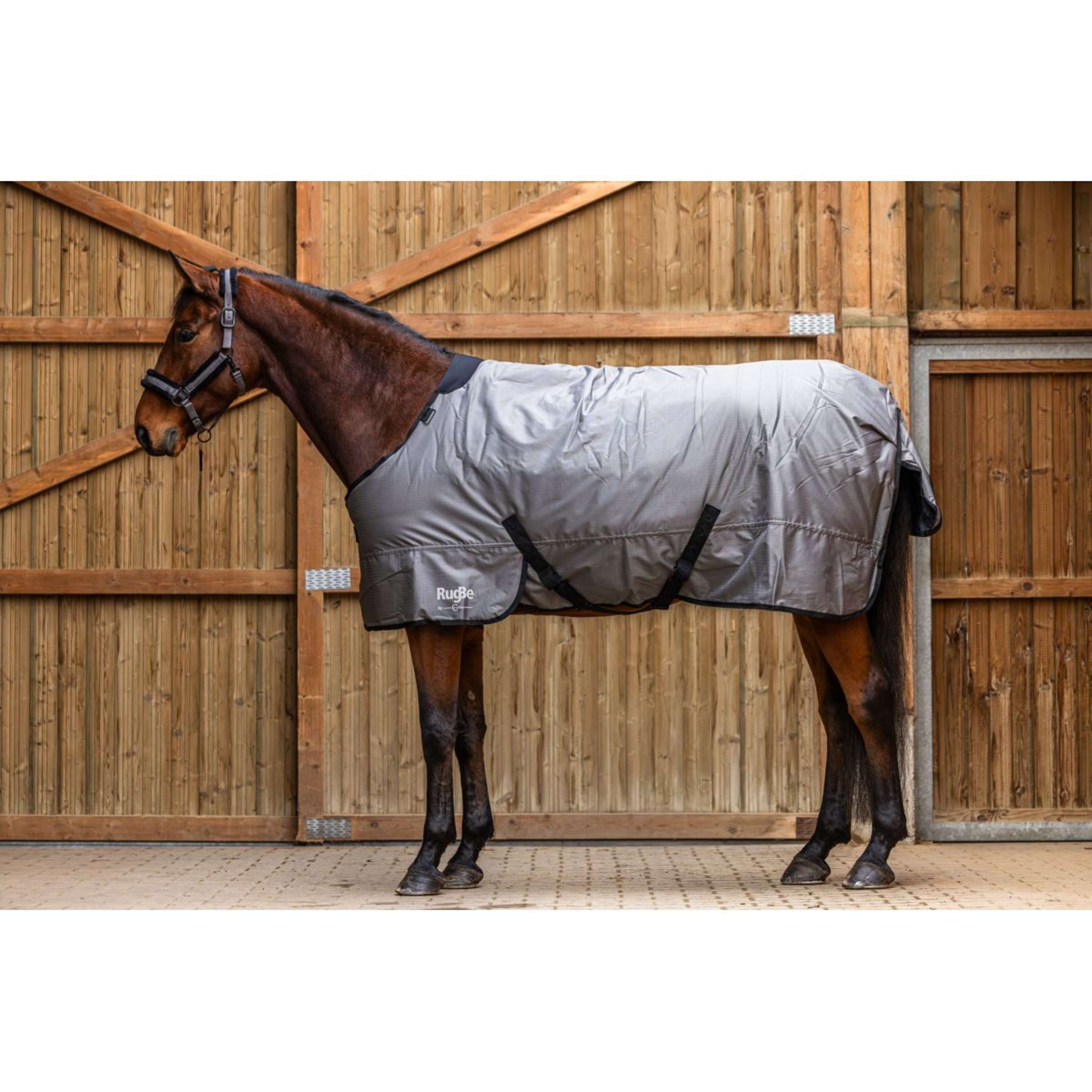 RugBe by Covalliero Winterdeken AW25 300g Steel Grey