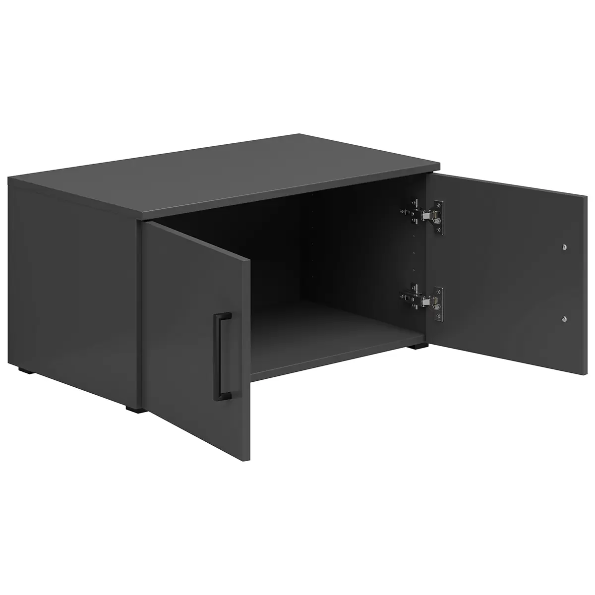 Regal 2T Cabinet Anthrazit