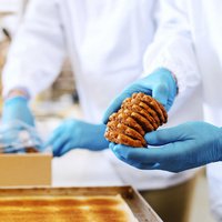 Gant nitrile non poudré 
