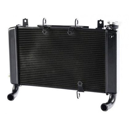 Radiateur Brazoline A EAU ADAPTABLE