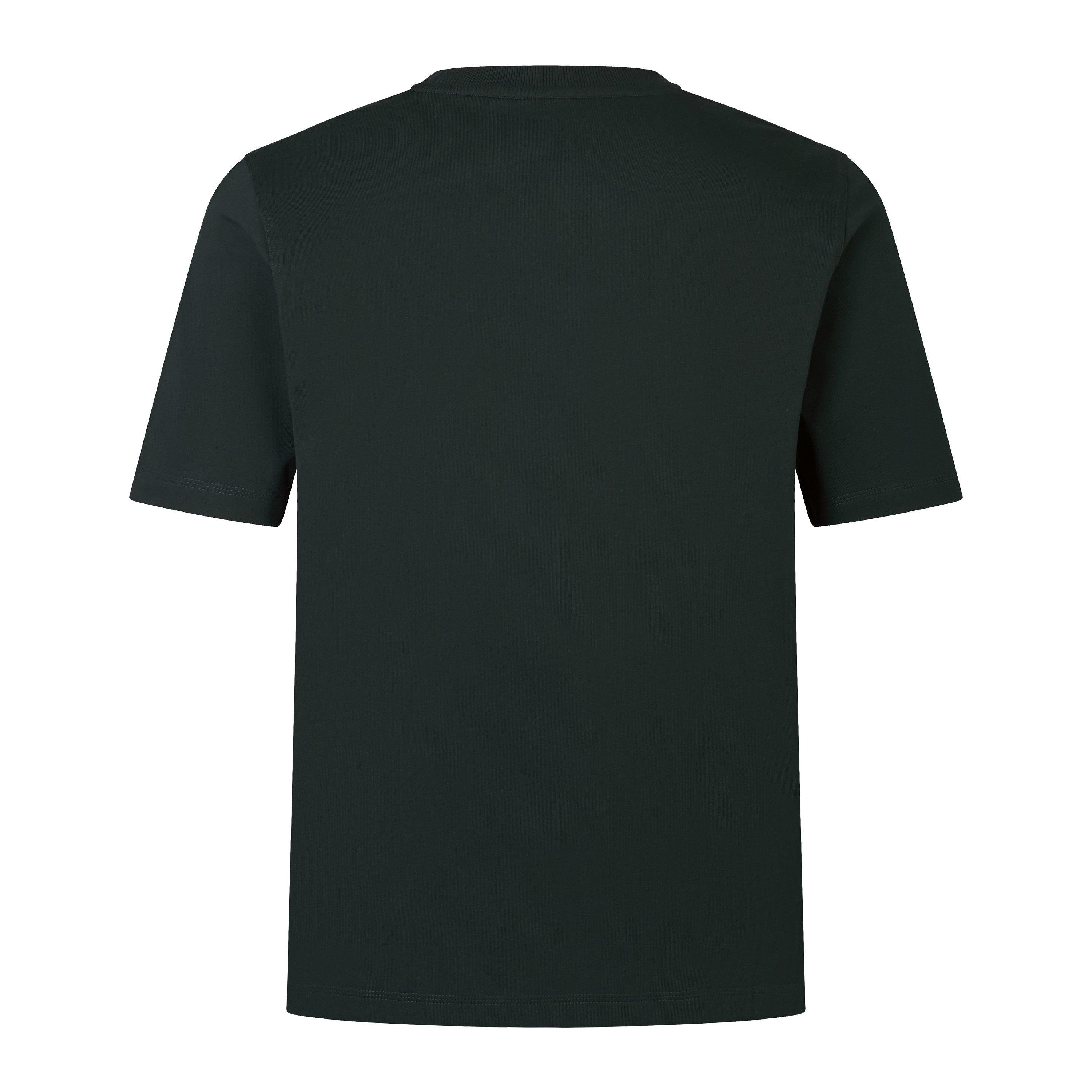 Canterbury British & Irish Lions Stealth T-Shirt Mens