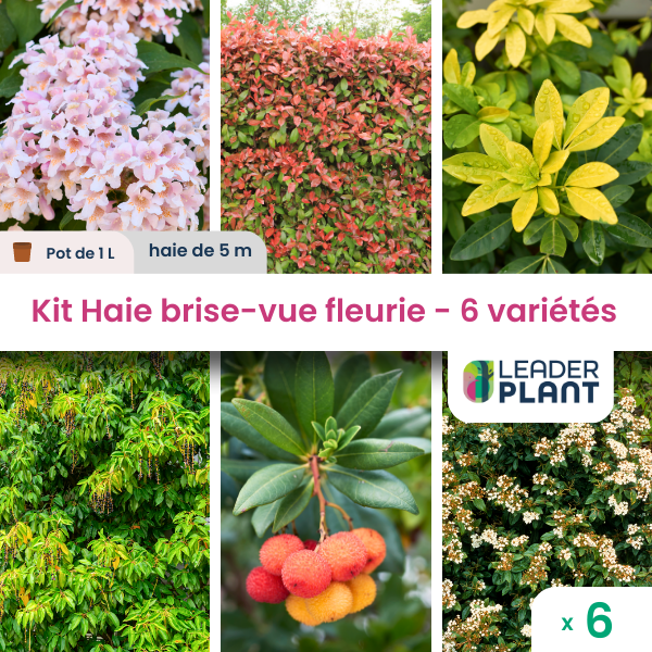 Kit haie brise vue fleurie - 6 variétés