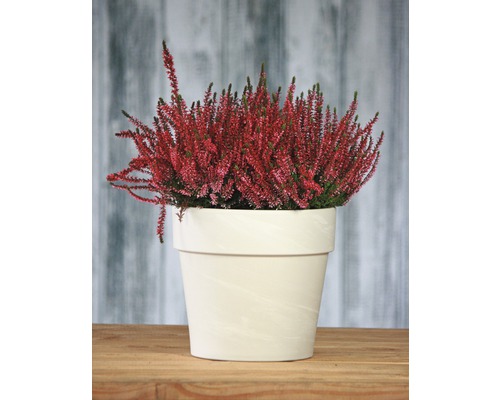 Calima plantenpotset Ø 29 cm H 25,6 cm graniet incl. schotel