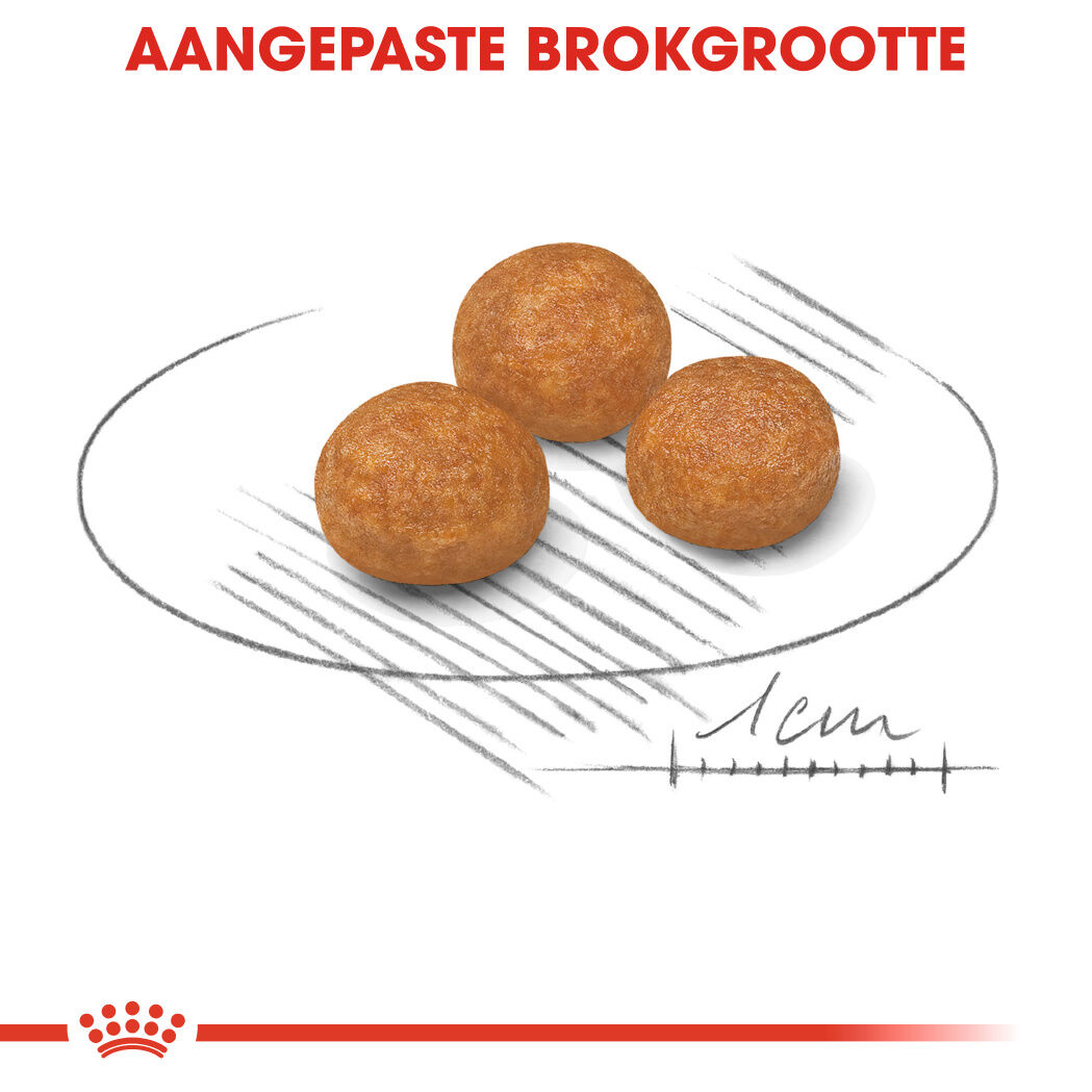 Royal Canin X-Small Adult - Hondenvoer - 3 Kilogram - gevogelte