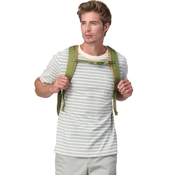 Sac à dos lifestyle PATAGONIA REFUGIO DAY PACK 26L BUCKHORN GREEN