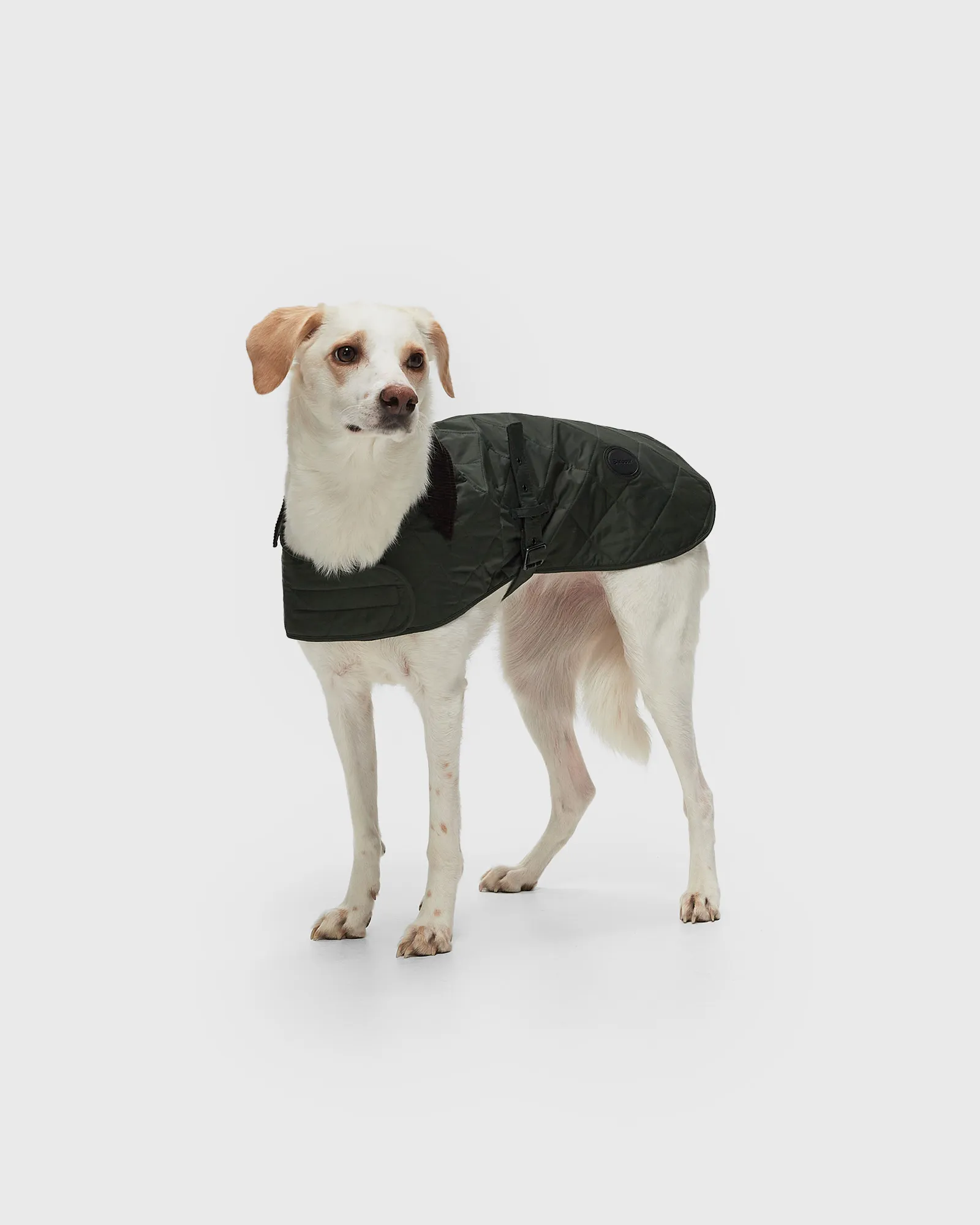 Barbour Quilted Dog Coat
