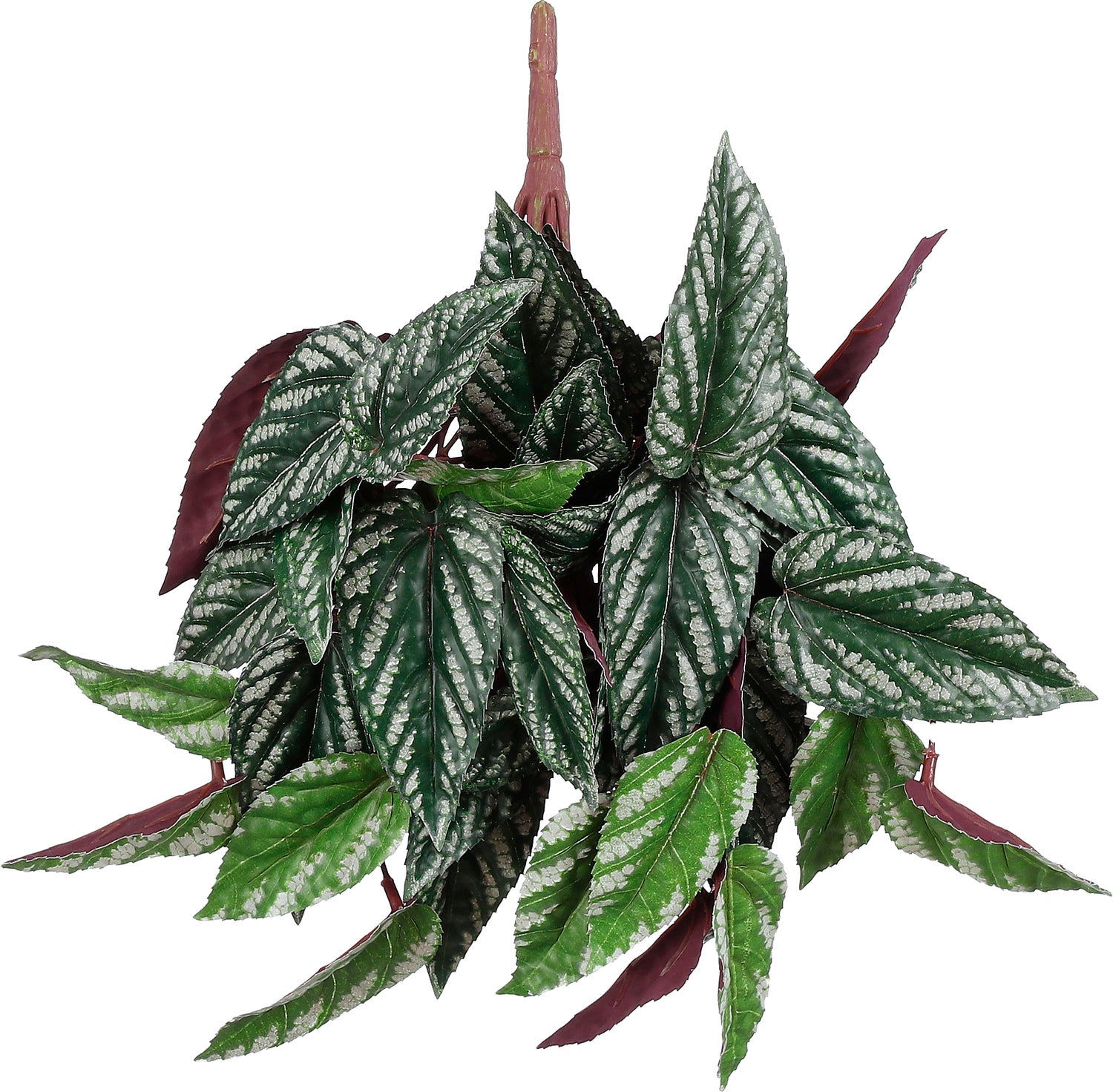 Mica Decorations kunstplant Pilea 35 x 22 x 22 cm