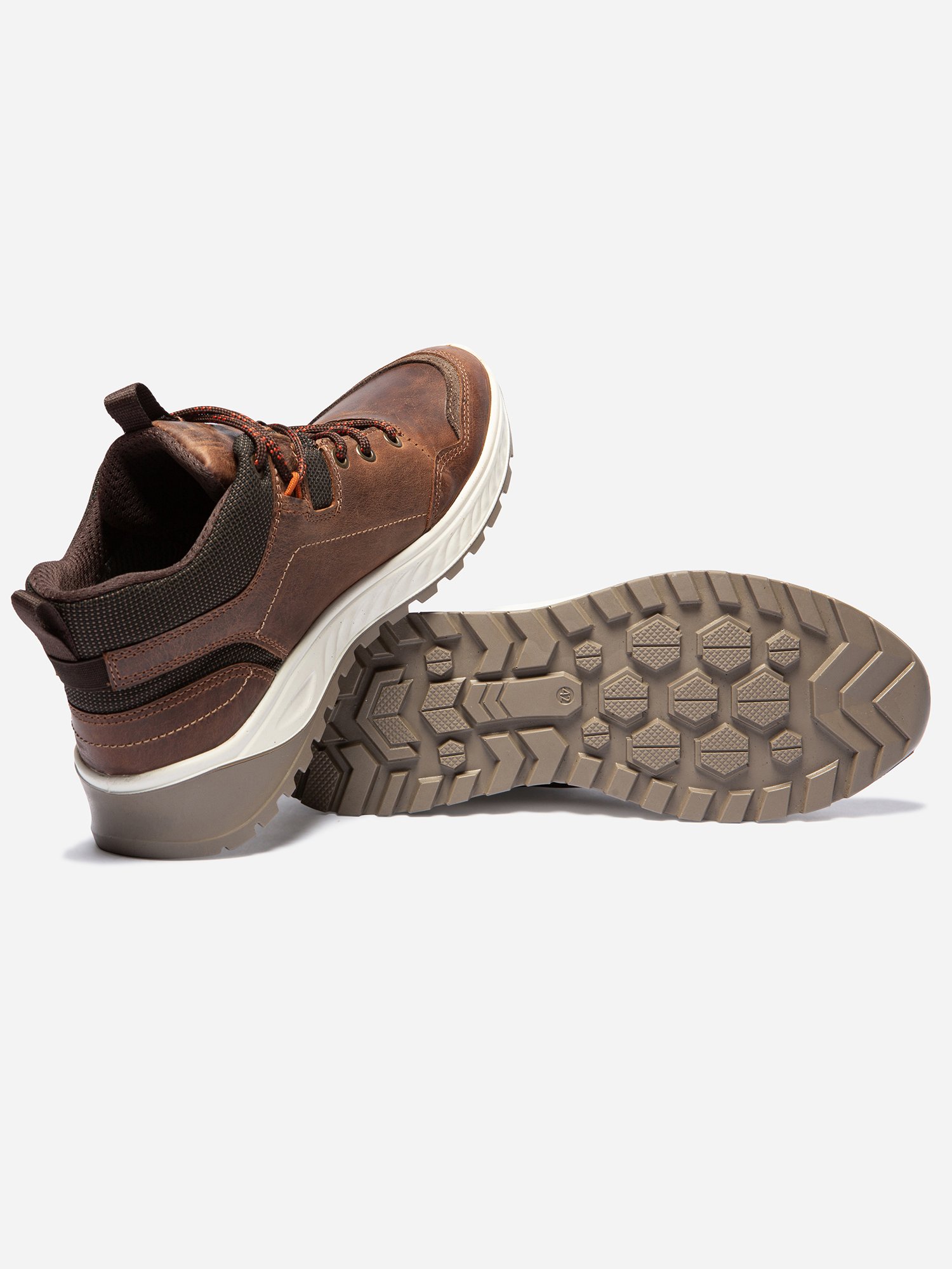 Baskets Montantes Homme Imperméable Marron