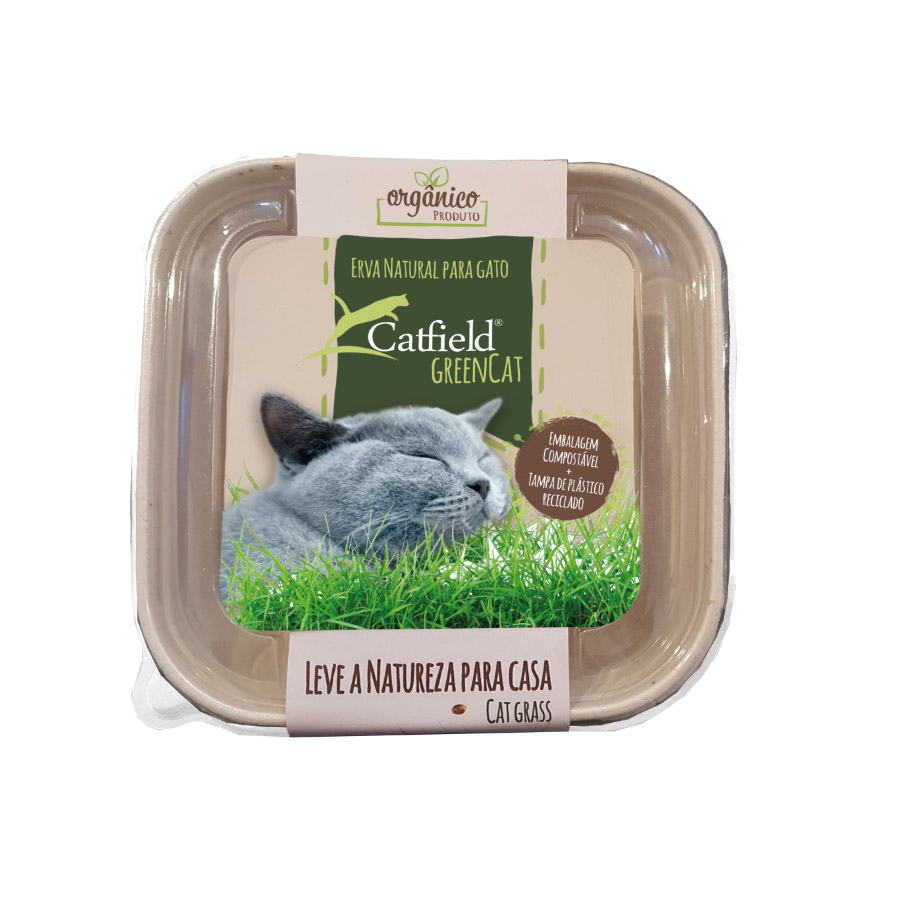 Grama natural para gatos Catfield GreenCat