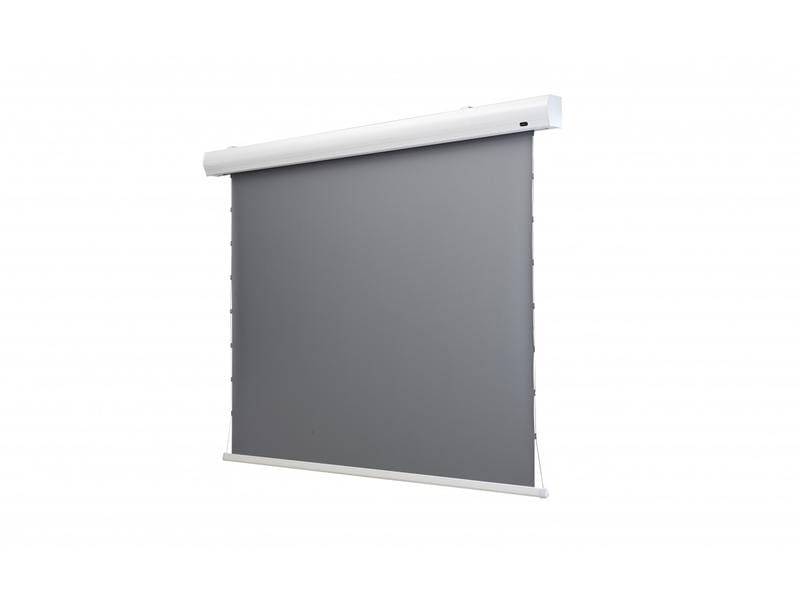 Celexon Tension-Leinwand HomeCinema Dynamic Slate ALR 265x1 HomeCinema Hochkontrastleinwand Tension 265 x 149 cm 120