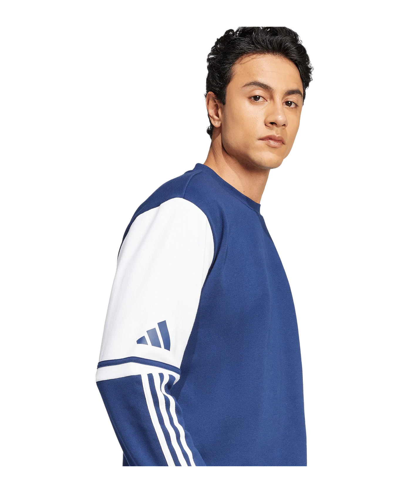 adidas Squadra 25 Sweatshirt Blau