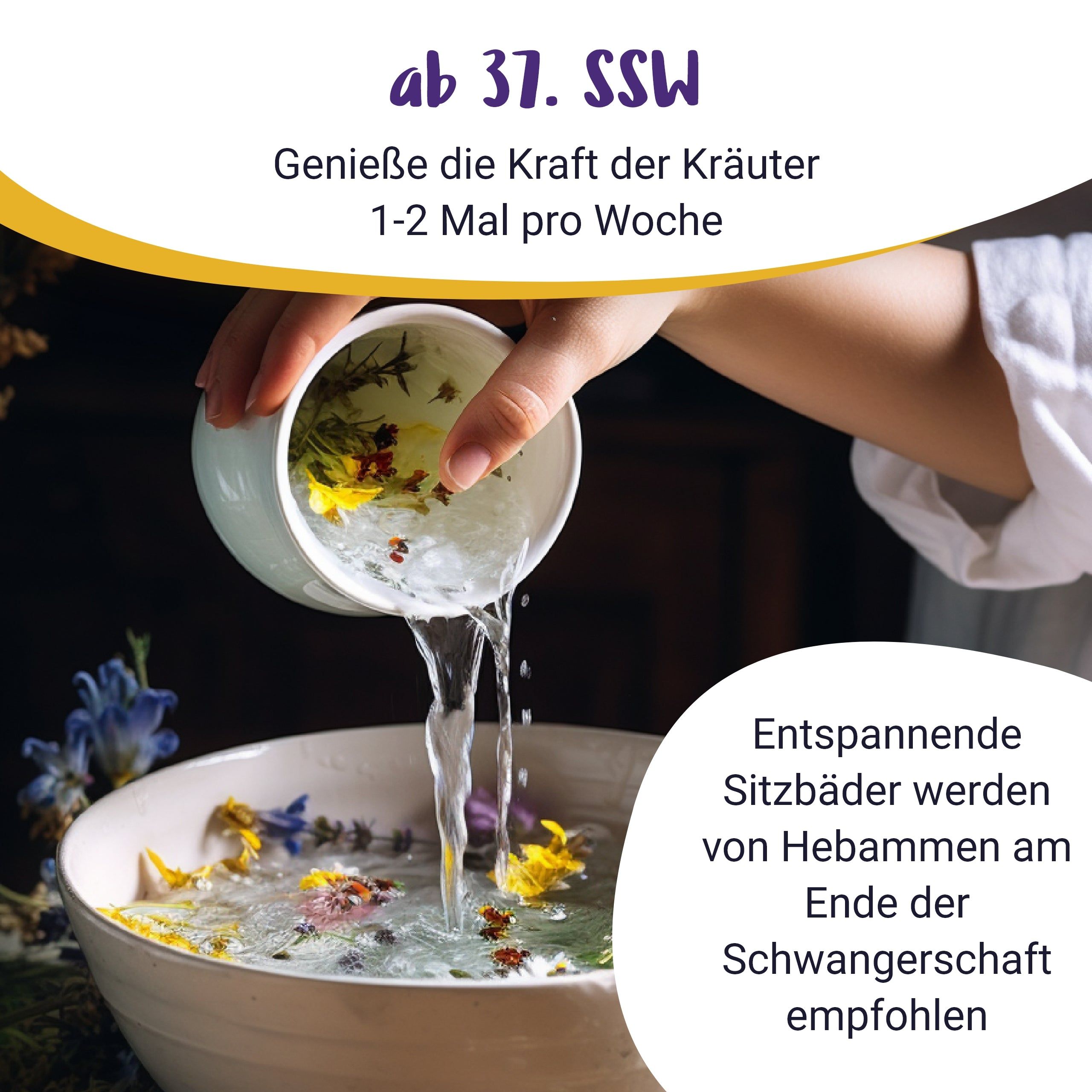 Heublumen Sitzbad - von PregniVital®