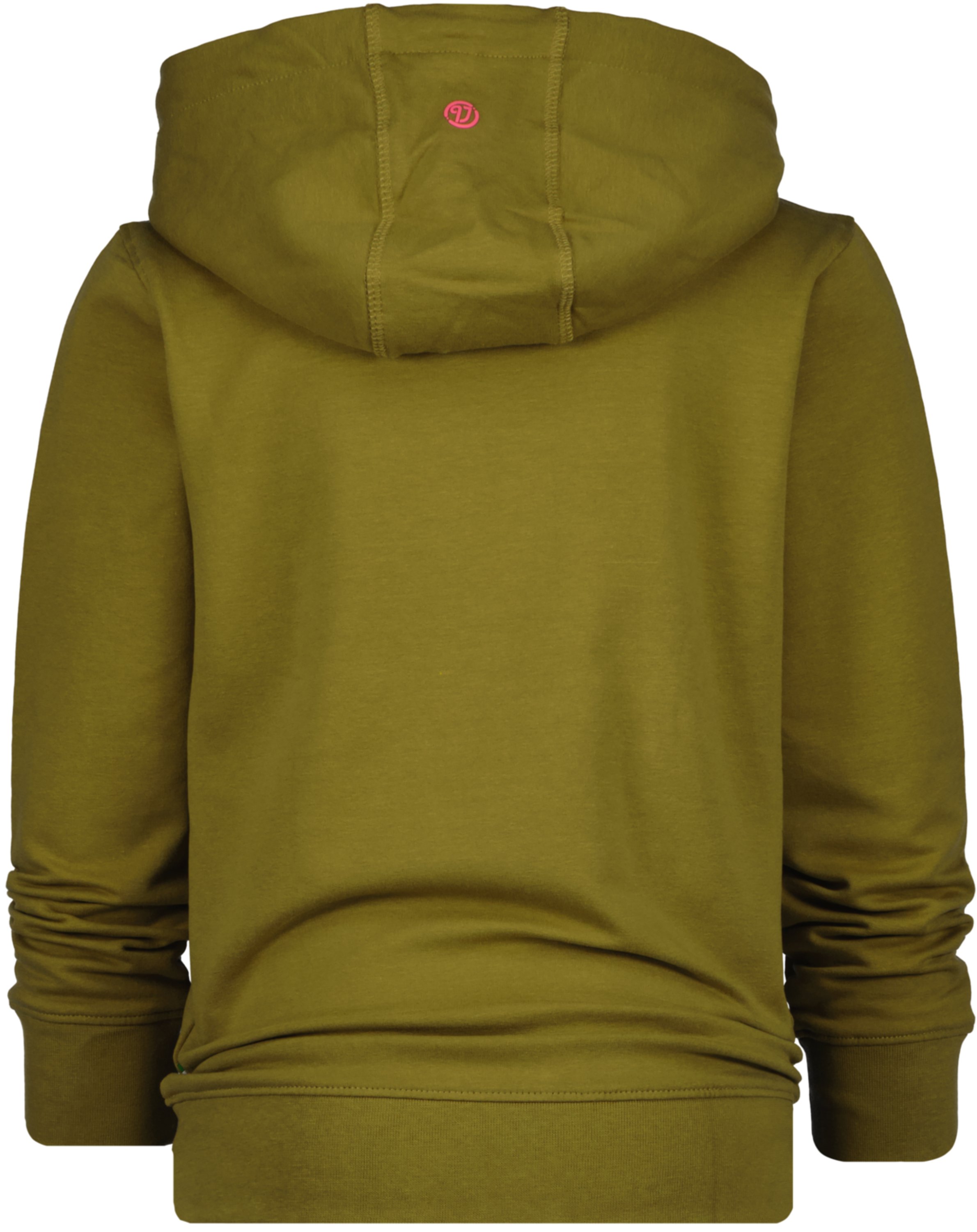 Kapuzen-Sweatshirt MILANO CREW in retro green