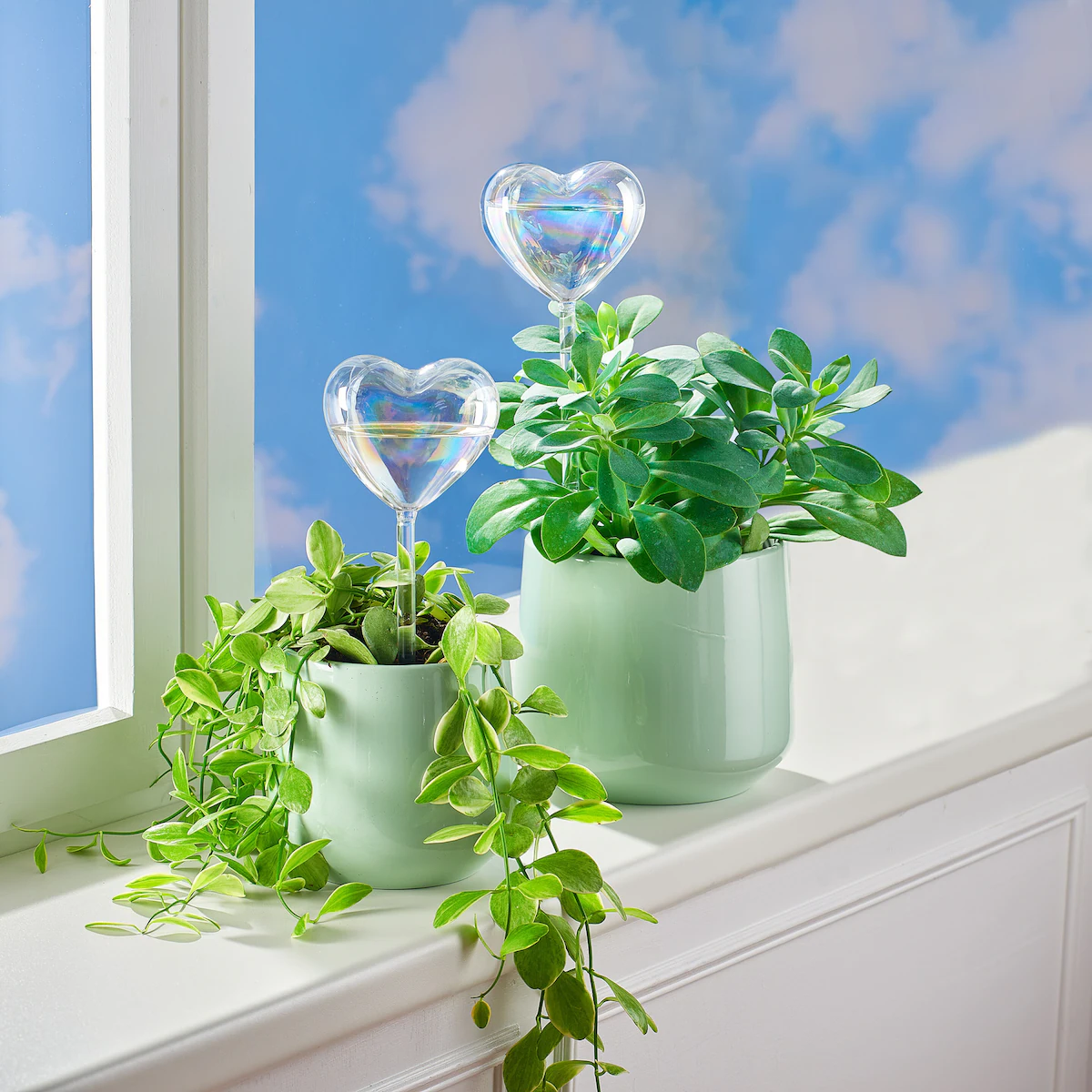 genialo - Glas-Bewässerungshilfe „Herz“, 4 Stück