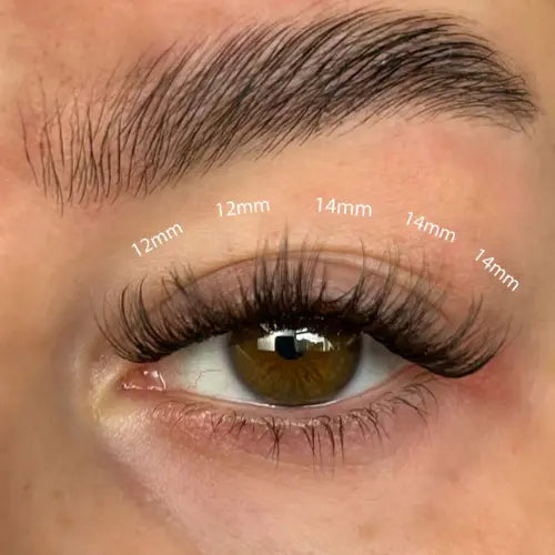 Fluffy Russian DIY Lash Extension Set