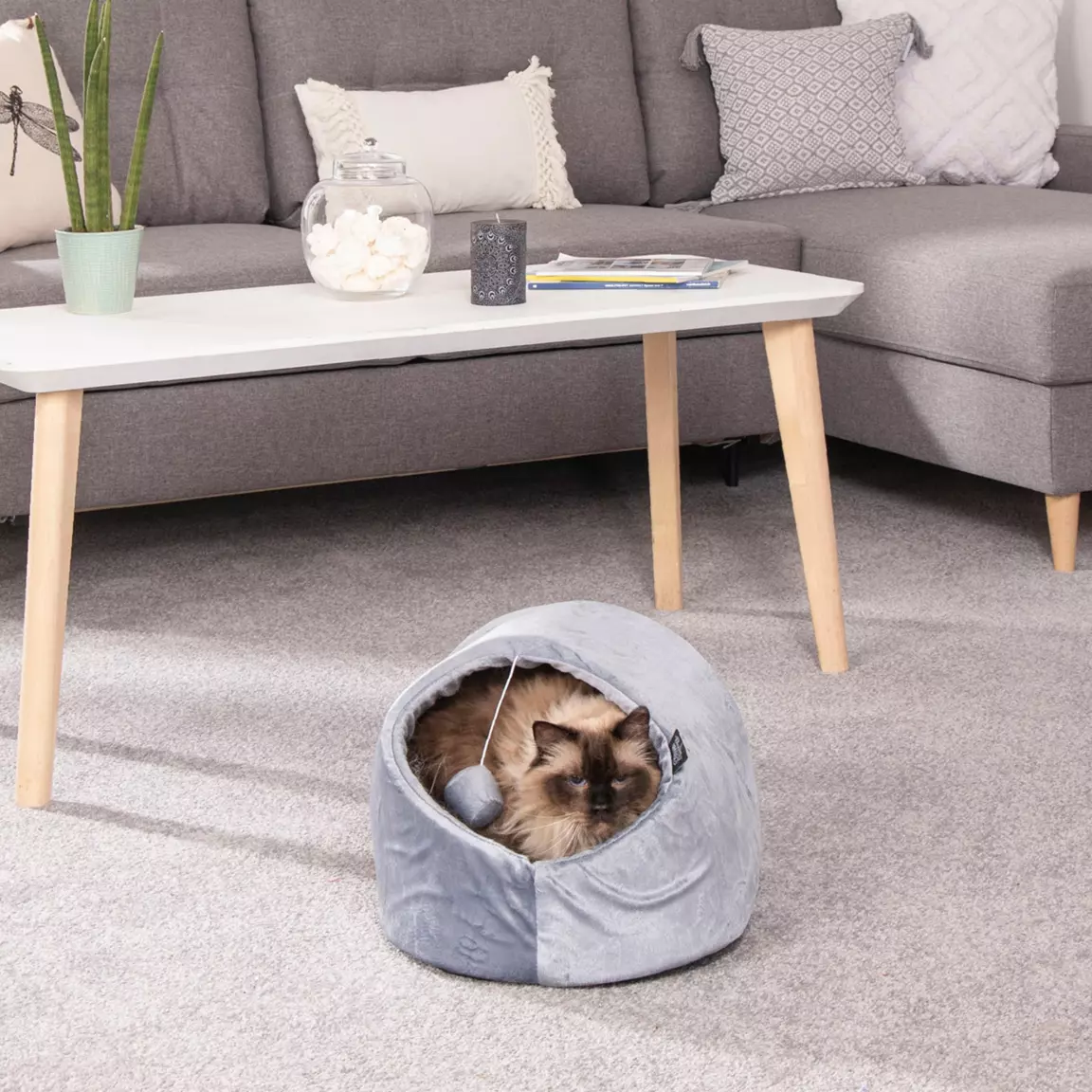 Niche d'intérieur avec jouet pour chat Sweet Cat L35 cm Ecru