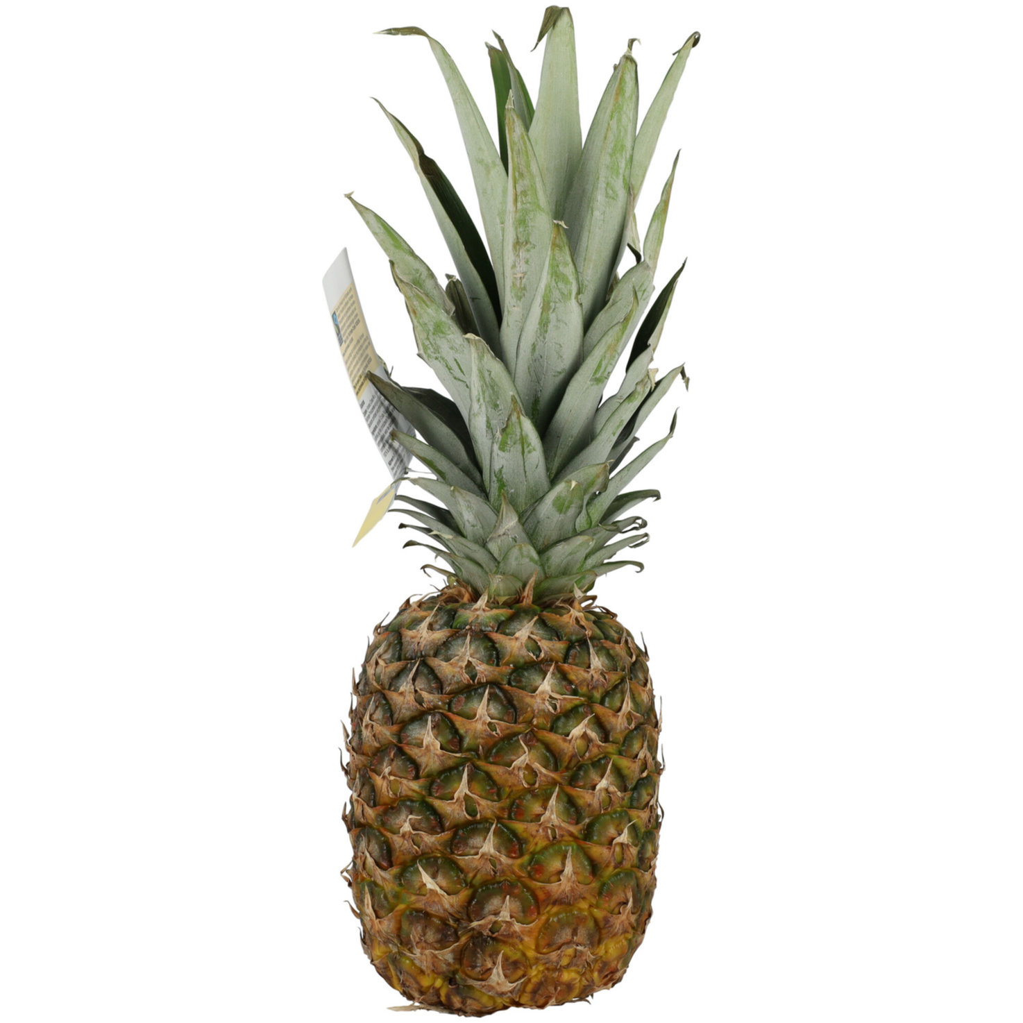 Fairtrade Ananas extrasüss 1 Stück -