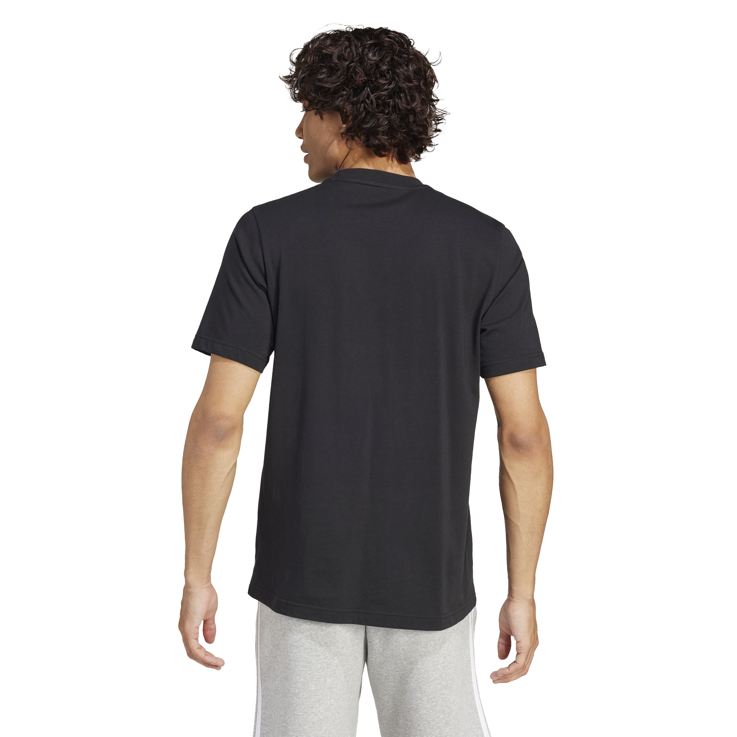 Adidas BL SJ T Q1 GD