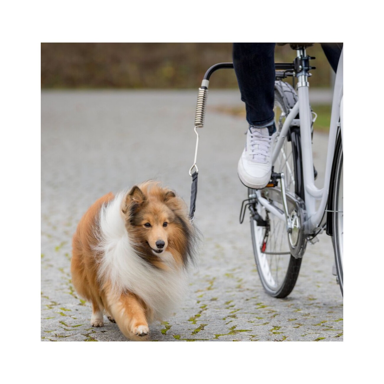 Trixie Hunde Biker-Set