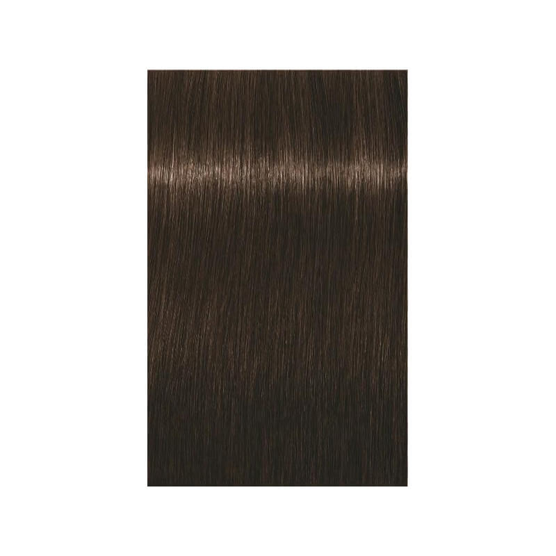 Coloration Igora Royal Schwarzkopf 60ML ( Par numéro )