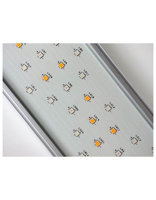 Twinstar Light Iv - Verlichting - 200ea