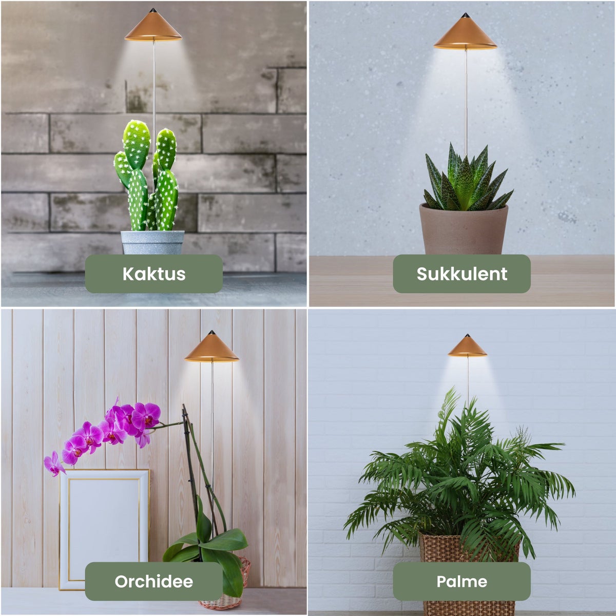 Parus by Venso SUNLITE 7W LED Full Spectrum Plantenlamp Koper, Binnenplantenverlichting, met Uitschuifbare Telescopische Paal, Parus Plantenlamp voor Kleine en Middelgrote Kamerplanten